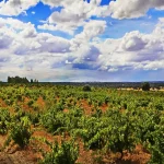 BODEGAS Y VINOS ZAMORA ENOTURISMO EXPERIENCIA