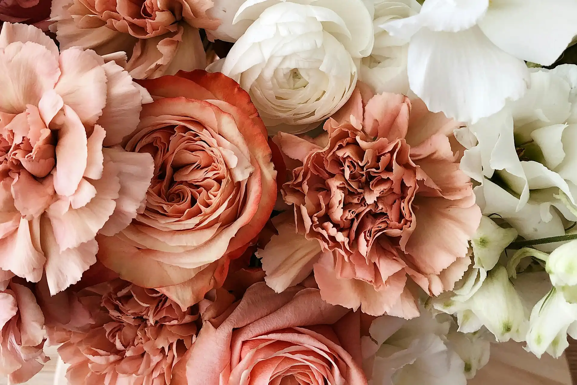 EXPERIENCIA ROMÁNTICA EN ZAMORA ESCAPADAS PARA 2 PERSONAS