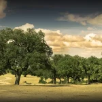 Rutas de senderismopueblos de Corrales Peleas de Abajo Gema Casaseca de las Chanas Arcenillas y Zamora